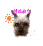 ルカのひとことスタンプ（個別スタンプ：6）