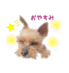 ルカのひとことスタンプ（個別スタンプ：9）