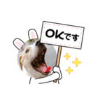 taiyuuu！！！！（個別スタンプ：1）