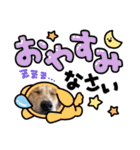 taiyuuu！！！！（個別スタンプ：3）