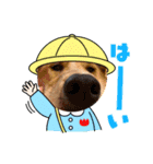 taiyuuu！！！！（個別スタンプ：4）