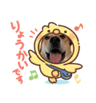 taiyuuu！！！！（個別スタンプ：5）