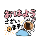 taiyuuu！！！！（個別スタンプ：7）
