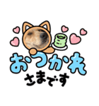taiyuuu！！！！（個別スタンプ：10）