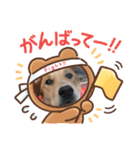 taiyuuu！！！！（個別スタンプ：11）