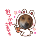 taiyuuu！！！！（個別スタンプ：12）