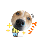 taiyuuu！！！！（個別スタンプ：14）