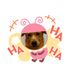 taiyuuu！！！！（個別スタンプ：16）