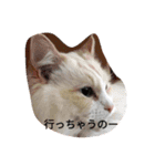 ふわふわみーちゃん（個別スタンプ：3）
