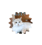 ふわふわみーちゃん（個別スタンプ：4）