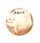 ふわふわみーちゃん（個別スタンプ：7）