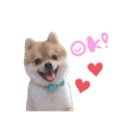 パックと仲間たち（個別スタンプ：1）
