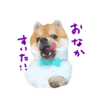 パックと仲間たち（個別スタンプ：4）