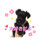 飯村家三銃士（個別スタンプ：2）