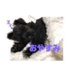 飯村家三銃士（個別スタンプ：4）
