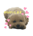 もな＆あむ stamp（個別スタンプ：1）