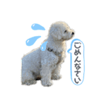 もな＆あむ stamp（個別スタンプ：2）