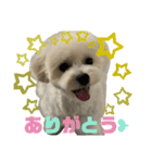 もな＆あむ stamp（個別スタンプ：3）