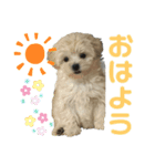 もな＆あむ stamp（個別スタンプ：6）
