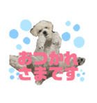 もな＆あむ stamp（個別スタンプ：7）