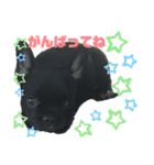 もな＆あむ stamp（個別スタンプ：8）