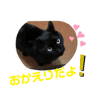 Moto猫スタンプ0（個別スタンプ：7）