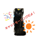 Moto猫スタンプ0（個別スタンプ：12）