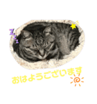 Moto猫スタンプ0（個別スタンプ：14）