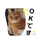 Moto猫スタンプ0（個別スタンプ：18）