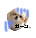 寂しがり屋ももちゃん1（個別スタンプ：8）