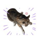 いともずく（個別スタンプ：7）