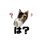 いともずく（個別スタンプ：8）