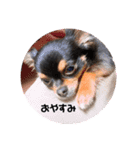 テン10（個別スタンプ：1）