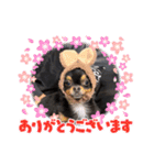 テン10（個別スタンプ：6）