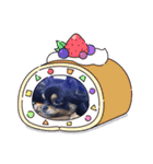 テン10（個別スタンプ：7）