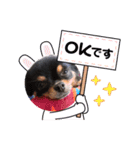 テン10（個別スタンプ：12）