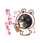 テン10（個別スタンプ：13）
