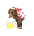 ころちび（個別スタンプ：4）