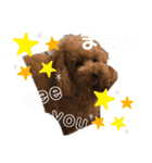 ころちび（個別スタンプ：5）