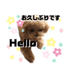 ころちび（個別スタンプ：6）