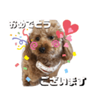 ころちび（個別スタンプ：16）