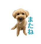 まいろのすたんぷ（個別スタンプ：7）