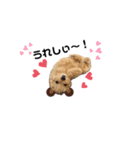 トイプードル モコスタンプ❣️（個別スタンプ：20）