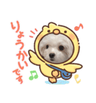 シロロの日常系スタンプ（個別スタンプ：13）