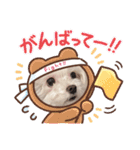 シロロの日常系スタンプ（個別スタンプ：15）