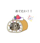 モルモットのこあらちゃん（個別スタンプ：15）