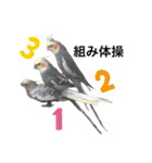 ザ・ピートルズ①（個別スタンプ：1）