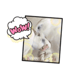 ザ・ピートルズ①（個別スタンプ：29）