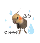 ザ・ピートルズ①（個別スタンプ：33）