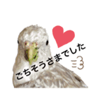 ザ・ピートルズ①（個別スタンプ：39）